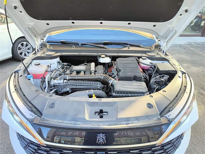 Фото 20 - BYD Qin L