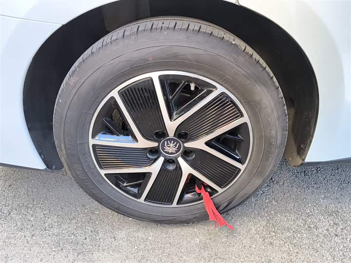 Фото 26 - BYD Qin L