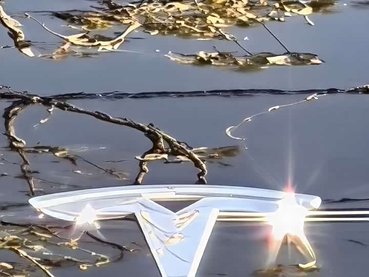 Фото 19 - Tesla Model Y