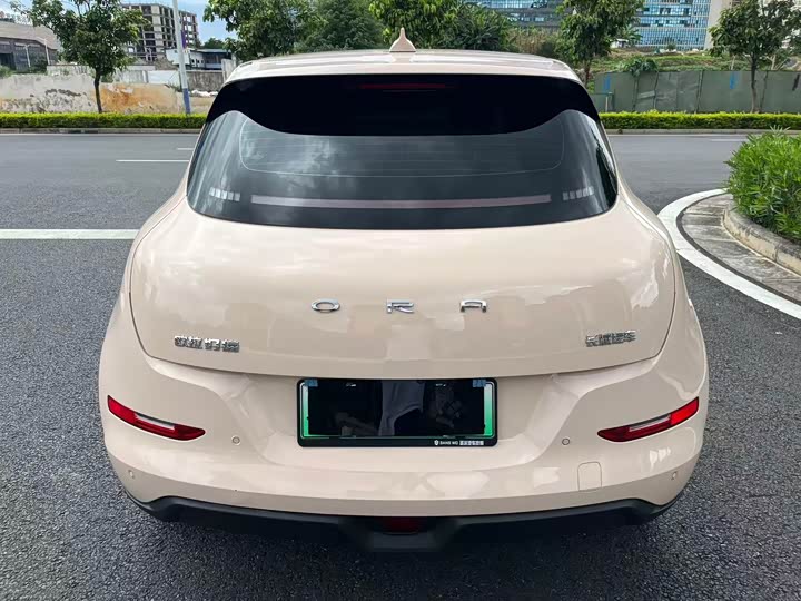 Фото 5 - Ora Good Cat (03)