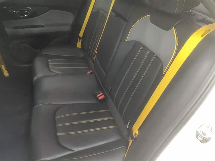 Фото 17 - GAC Trumpchi Empow R