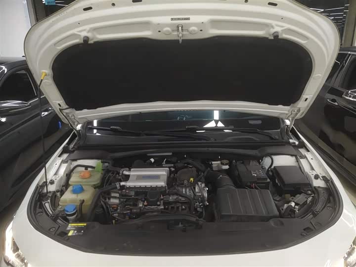 Фото 20 - GAC Trumpchi Empow R