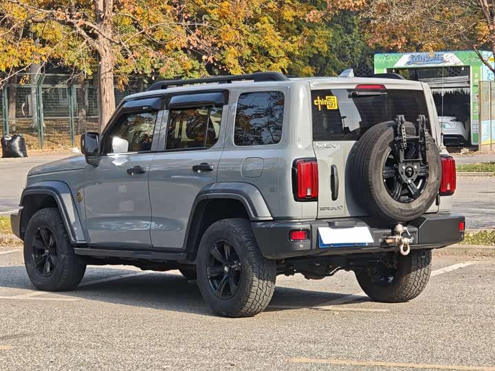 Фото 7 - Tank 300