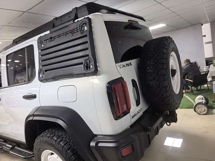 Фото 3 - Tank 300