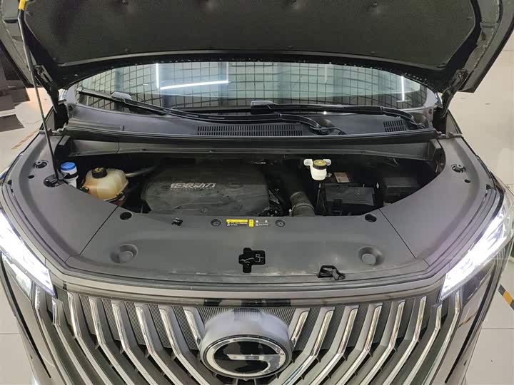 Фото 20 - GAC Trumpchi M8