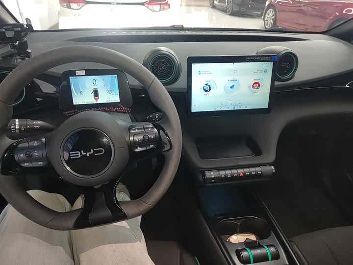 Фото 10 - BYD Dolphin