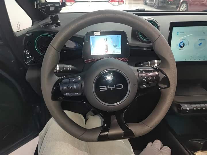 Фото 11 - BYD Dolphin