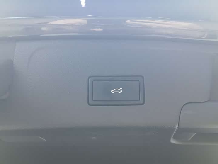 Фото 14 - Volkswagen Teramont X