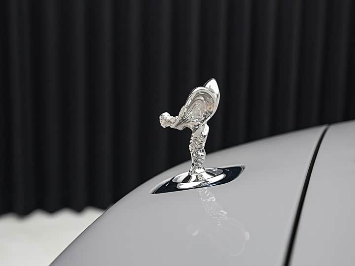 Фото 7 - Rolls-Royce Dawn