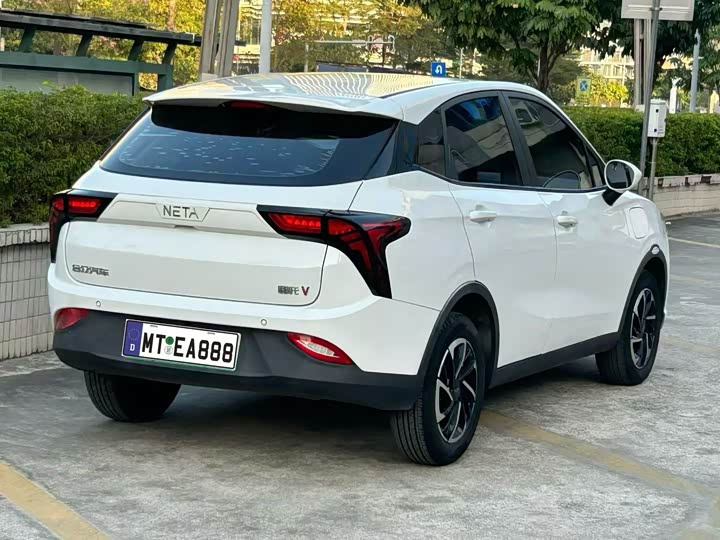 Фото 6 - Hozon V