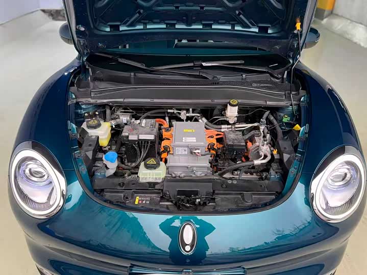 Фото 19 - Ora Good Cat (03)