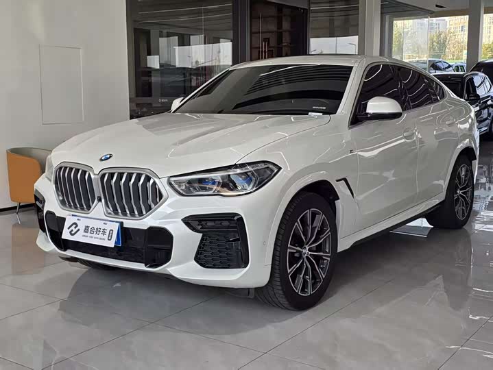 Фото 1 - BMW X6