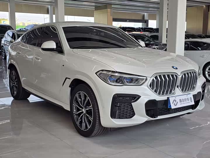 Фото 3 - BMW X6