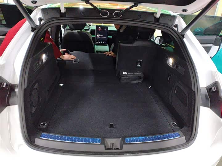 Фото 19 - Hozon S Hunting