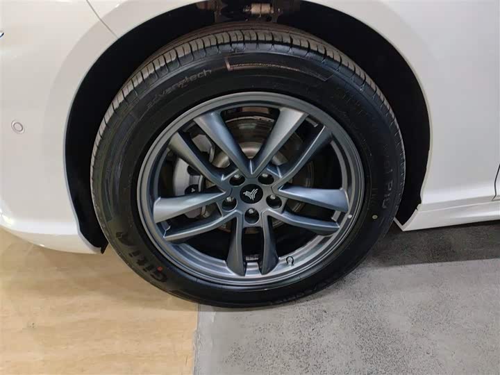 Фото 23 - Hozon S Hunting