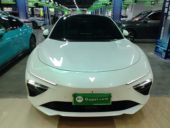 Фото 3 - Hozon S Hunting