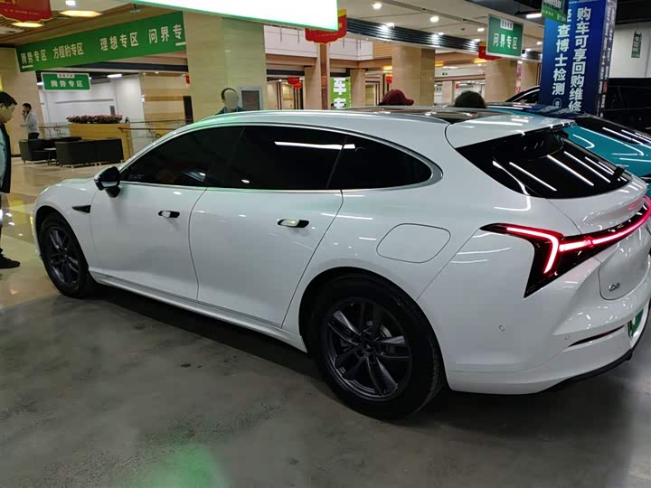 Фото 5 - Hozon S Hunting