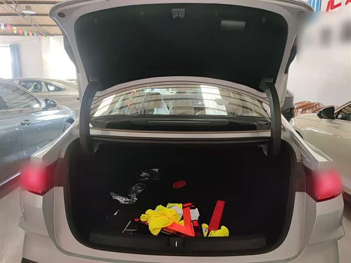 Фото 19 - BYD Qin L