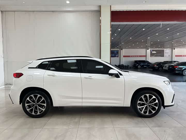 Фото 14 - Wey VV7