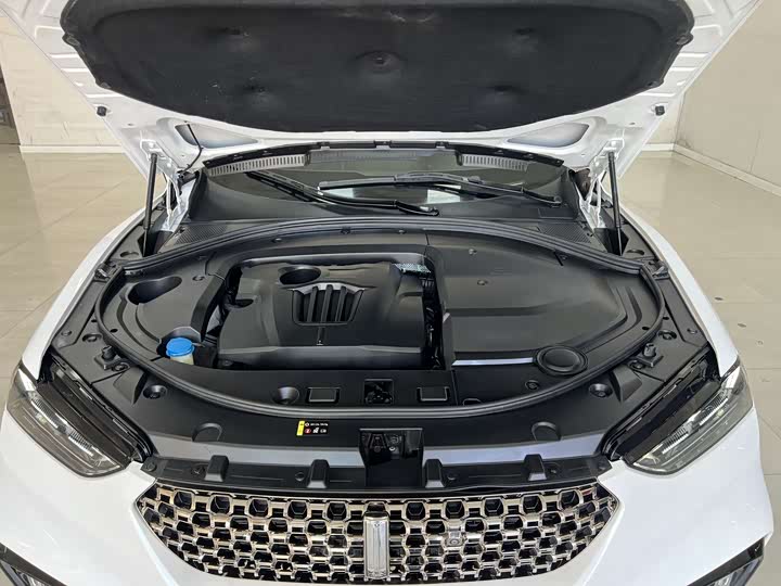 Фото 20 - Wey VV7