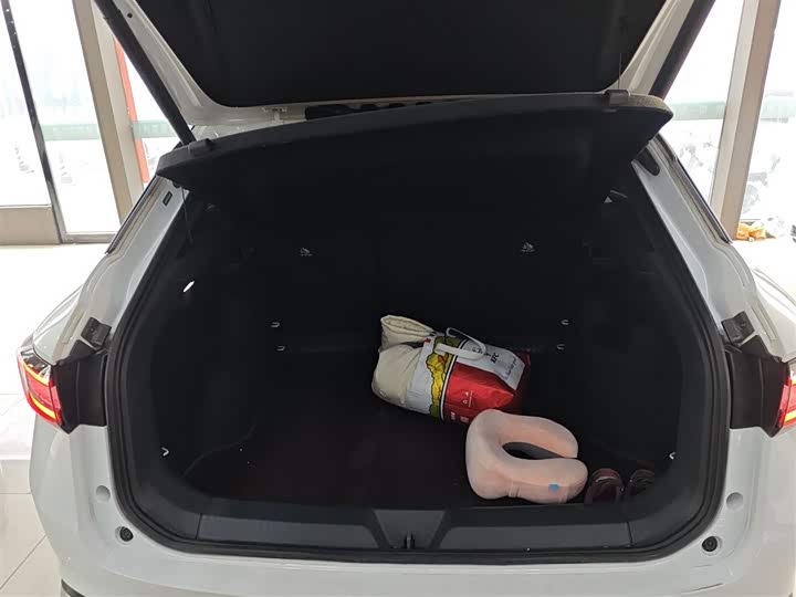 Фото 19 - Volkswagen ID.4 X