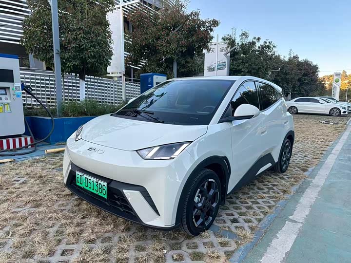 Фото 1 - BYD Seagull