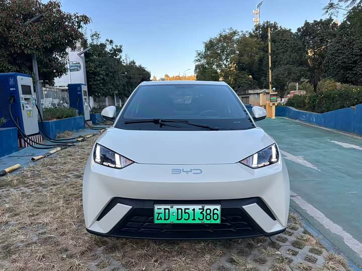 Фото 2 - BYD Seagull