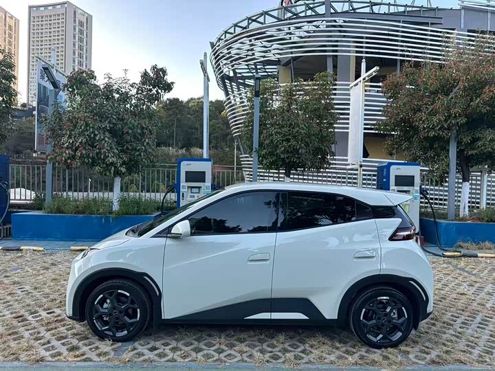 Фото 4 - BYD Seagull