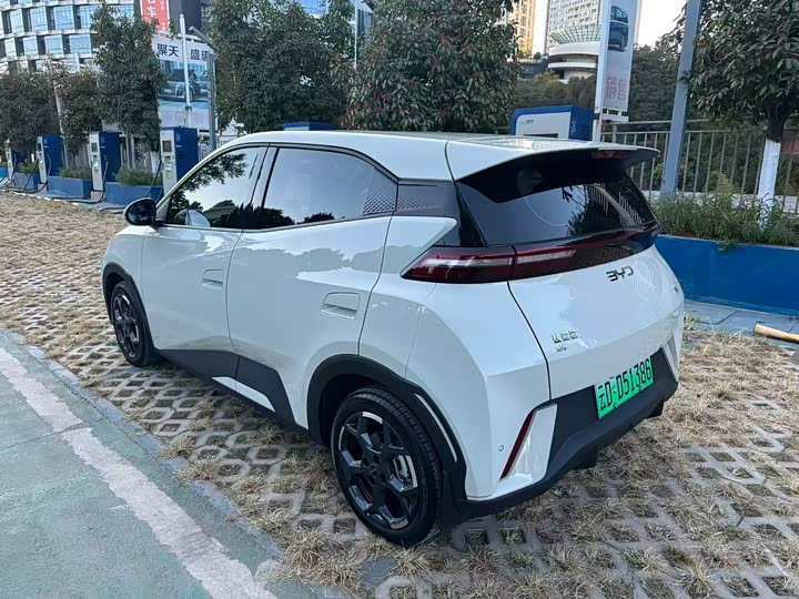 Фото 5 - BYD Seagull