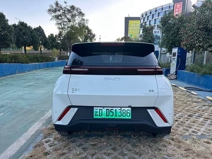 Фото 6 - BYD Seagull