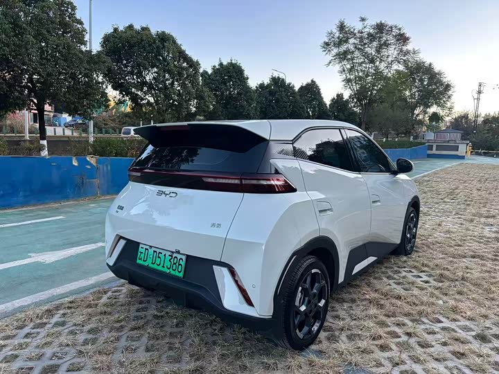 Фото 7 - BYD Seagull