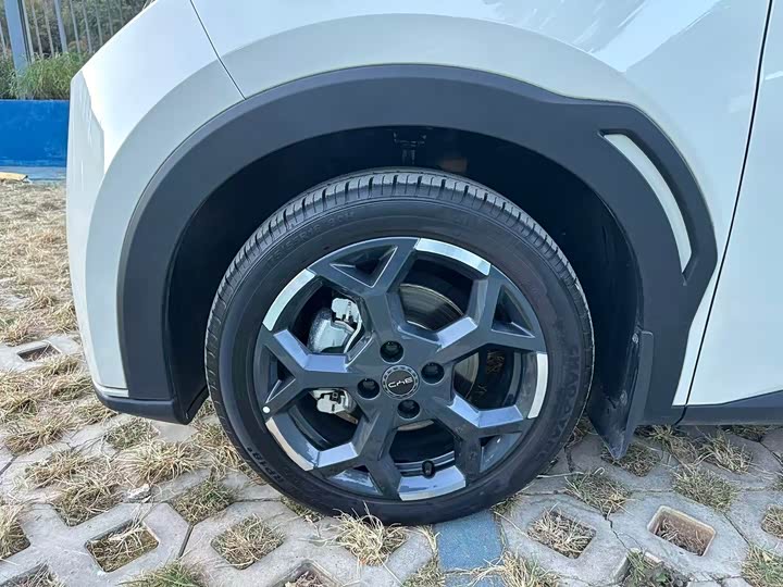 Фото 9 - BYD Seagull