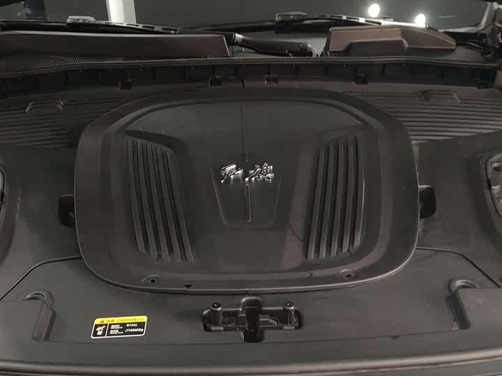 Фото 13 - Hongqi E-HS9