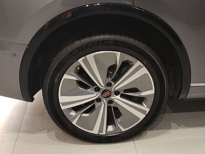 Фото 7 - Hongqi E-HS9