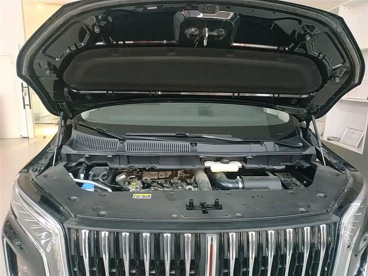 Фото 20 - Hongqi HQ9