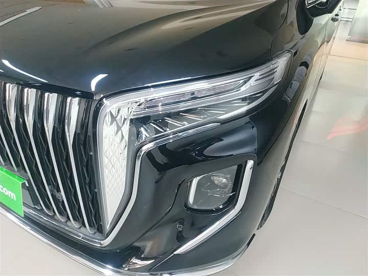 Фото 24 - Hongqi HQ9