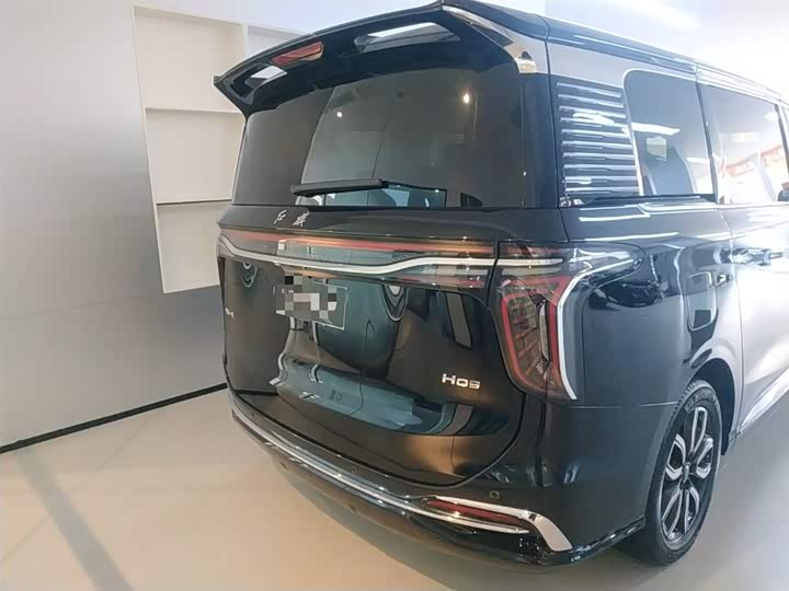 Фото 6 - Hongqi HQ9