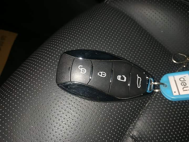 Фото 9 - Hongqi HQ9