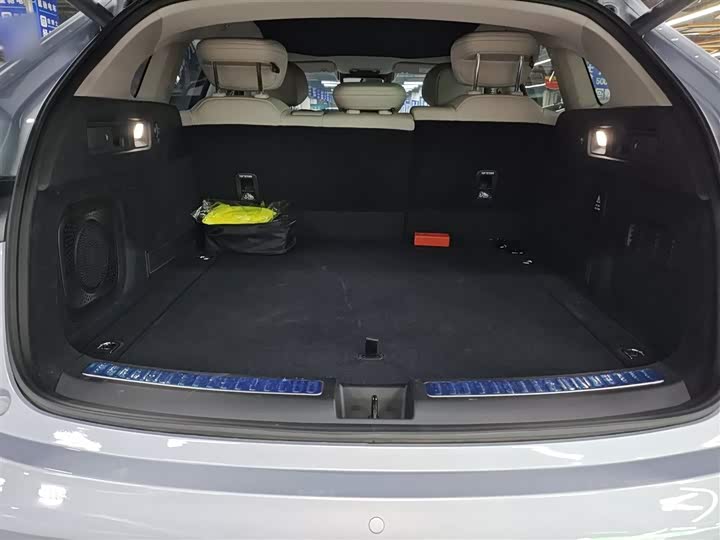 Фото 19 - Hozon S Hunting