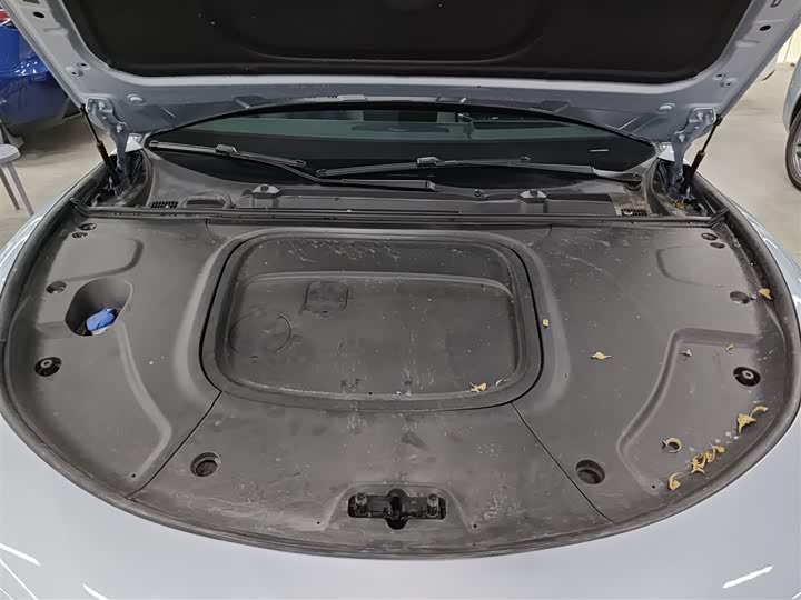 Фото 20 - Hozon S Hunting