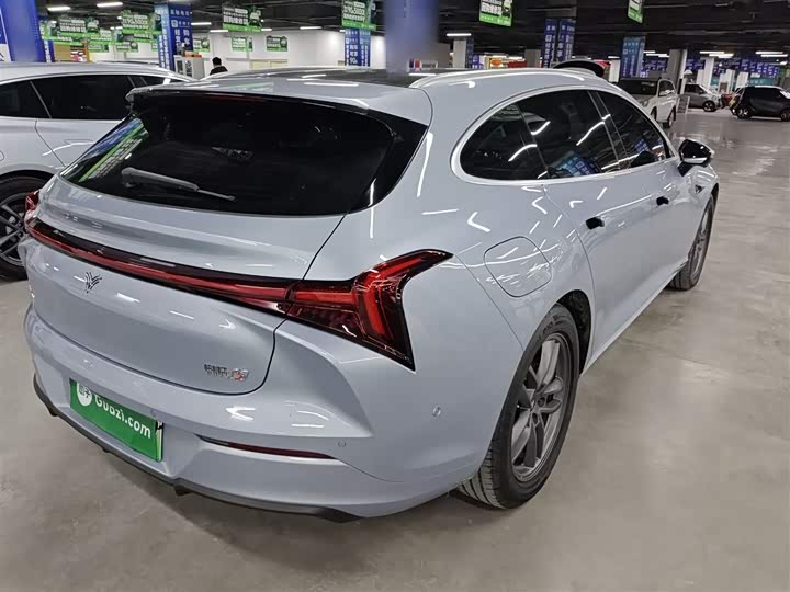 Фото 7 - Hozon S Hunting