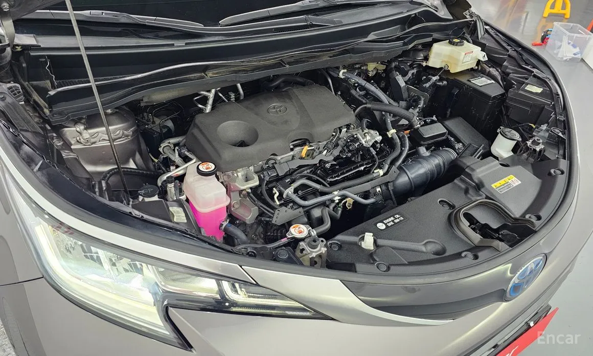 Фото 6 - Toyota Sienna