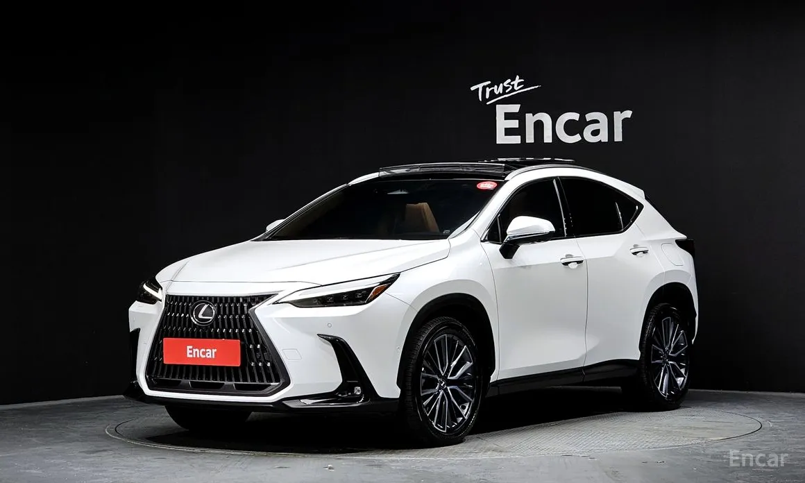 Фото 1 - Lexus NX