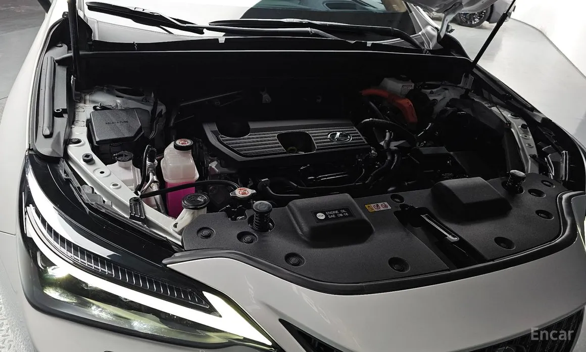 Фото 6 - Lexus NX