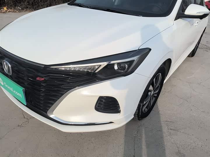 Фото 24 - Changan Eado Plus