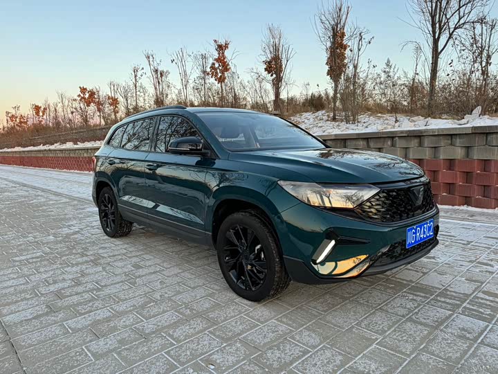 Фото 3 - Jetta VS7