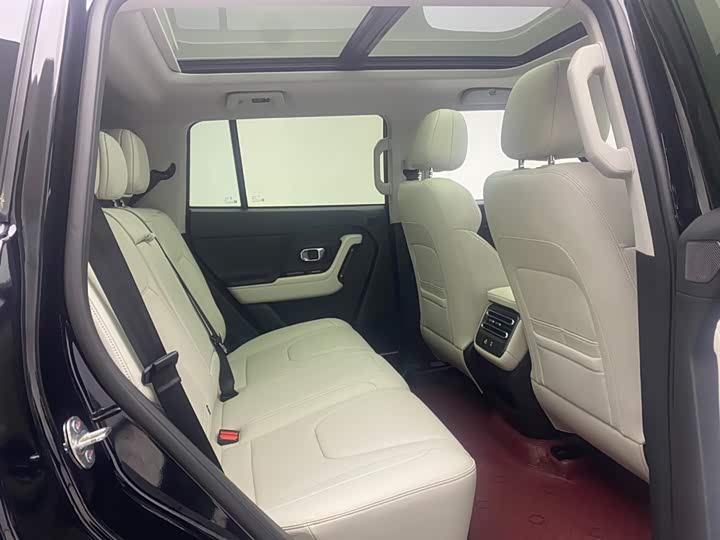 Фото 25 - Jetour Shanhai T1