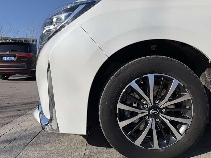 Фото 18 - GAC Trumpchi M8