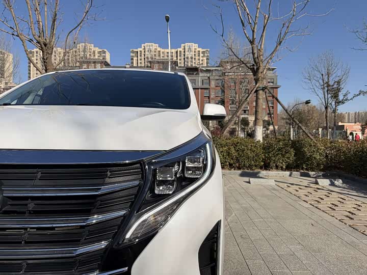 Фото 26 - GAC Trumpchi M8