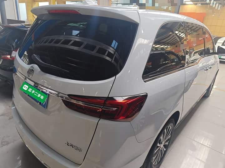 Фото 7 - Buick GL8 ES